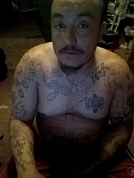 wilsons12 online show from 16, 4, 2026