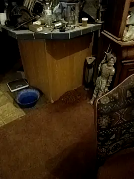 wilsons12 online show from 26, 10, 2025