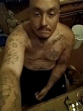 wilsons12 online show from 7, 11, 2025