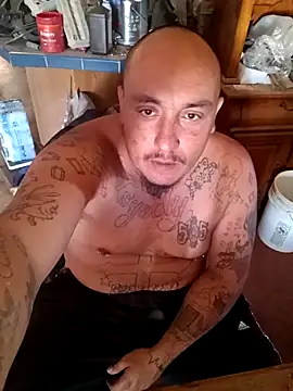 wilsons12 online show from 7, 11, 2025