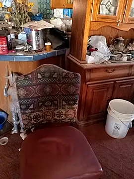 wilsons12 online show from 4, 11, 2025