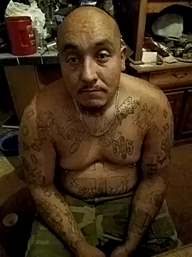 wilsons12 online show from 16, 10, 2025