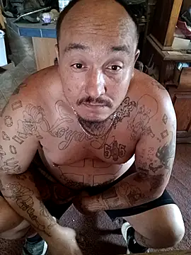 wilsons12 online show from 9, 10, 2025