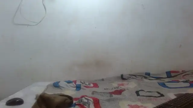 damian bottom bigcock online show from 16, 2, 2026