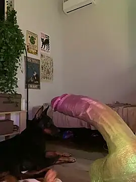 DaisyBooom online show from 28, 1, 2025