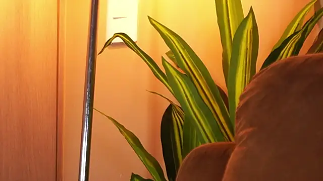 AliceShazaham  online show from 19, 7, 2026