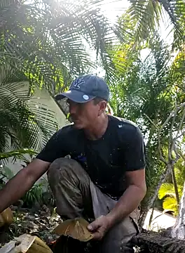 mexlog online show from 31, 10, 2025