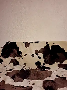 Zgodanilep online show from 5, 10, 2025