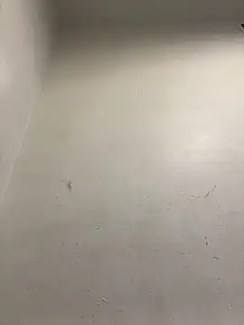 Snapshot of honeybrow chatting on 8, 1, 2025 honeybrow online show from 8, 1, 2025