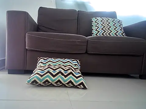 charlyporno22 online show from 21, 2, 2025