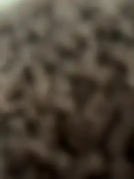 bumpinthat online show from 14, 2, 2026