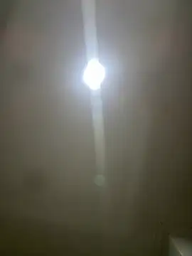 pawmistry online show from 5, 3, 2026