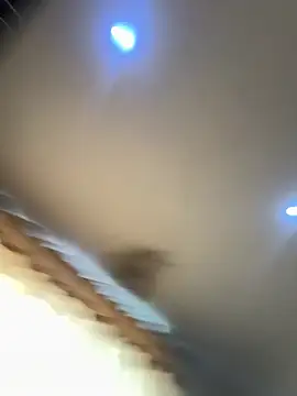 pawmistry online show from 11, 2, 2026