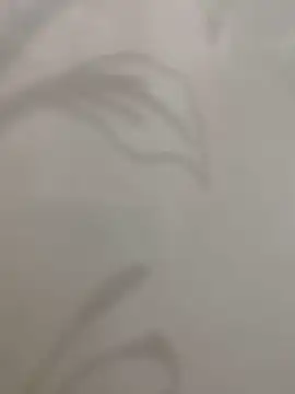 Sheik z o online show from 16, 11, 2025