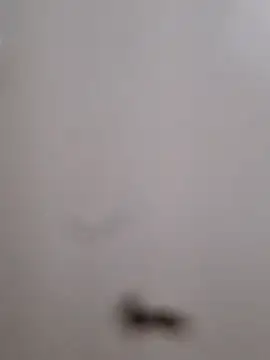 BriannaVincent online show from 13, 9, 2025