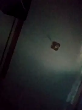 BriannaVincent online show from 20, 3, 2026