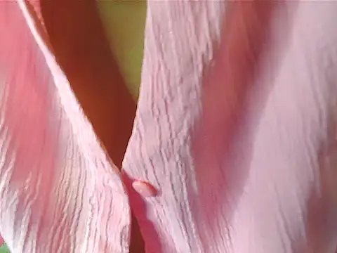 your Shanvi online show from 4, 10, 2025