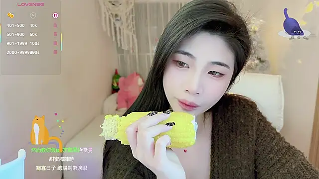 Vaidurya-Yolo online show from 12, 1, 2026