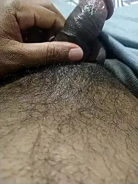 black panth99 online show from 13, 6, 2026