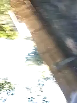 Jackson1964xh online show from 31, 10, 2025