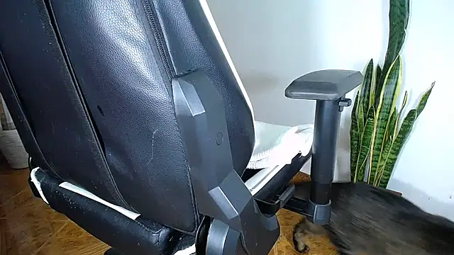 diamond black00 online show from 19, 3, 2025