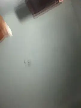 doll celeste20 online show from 26, 9, 2025