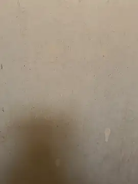 loveme99004 online show from 11, 3, 2026