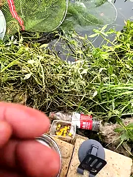 huzi518 online show from 25, 10, 2025