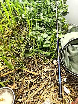 huzi518 online show from 27, 9, 2025