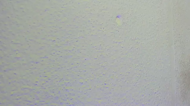 JESSYCORTES online show from 10, 9, 2025