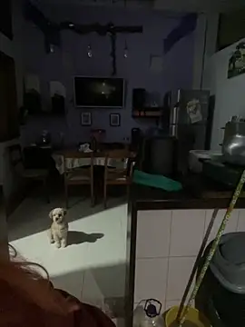 SophiaWeestt99 online show from 1, 10, 2025