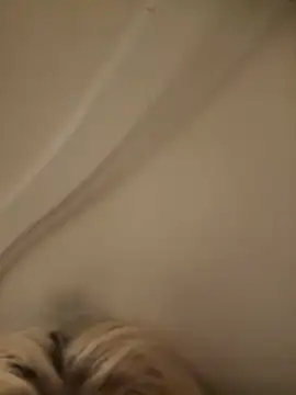 SirenitySirenxx online show from 23, 9, 2025