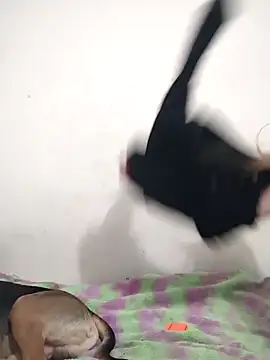 ElektrikFrancaise online show from 8, 1, 2026