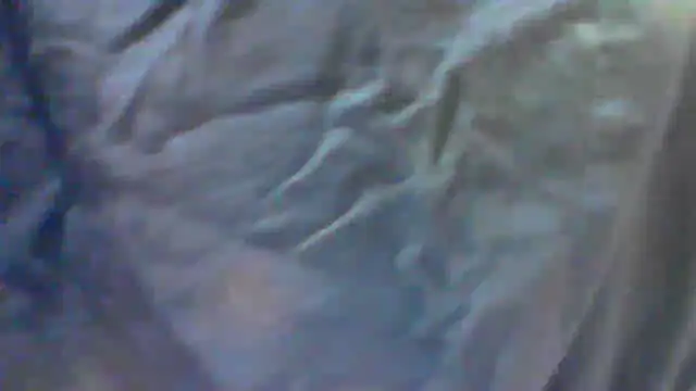 Snapshot of collage_hoty chatting on 24, 9, 2025 collage hoty online show from 24, 9, 2025