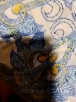 minitranca online show from 7, 2, 2026