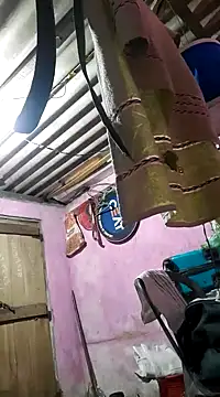 roundbunny online show from 4, 1, 2025