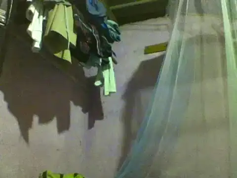 roundbunny online show from 10, 12, 2024