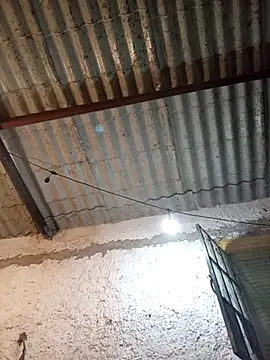 strip 1212 online show from 28, 10, 2025