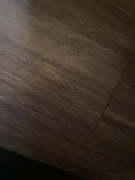 baby lizy online show from 25, 3, 2026