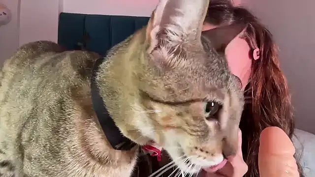 Snapshot of alice_guerin_ chatting on 20, 2, 2026 alice guerin online show from 20, 2, 2026