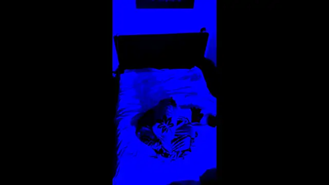 LuggiJack online show from 28, 2, 2026