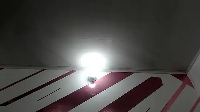 Kitten Hot  online show from 15, 1, 2026