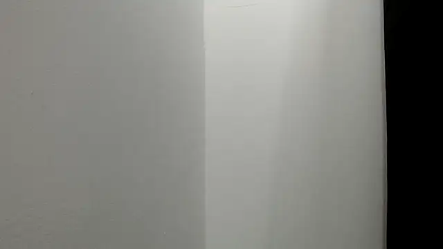 Kitten Hot  online show from 21, 11, 2025