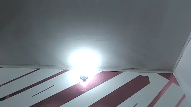 Kitten Hot  online show from 18, 12, 2025