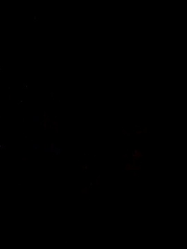 Hilkanna  online show from 23, 2, 2026