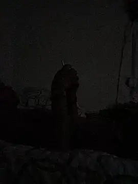 Johnras121 online show from 11, 4, 2026