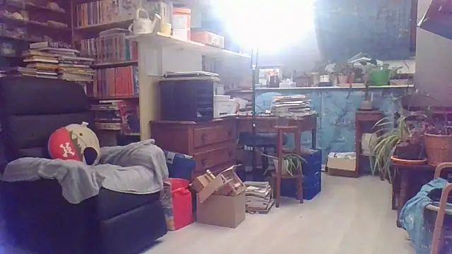 lucboyslam online show from 10, 1, 2026