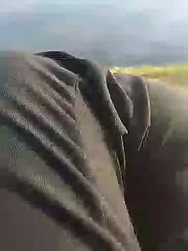 Snapshot of hexsmith96 chatting on 18, 12, 2024 hexsmith96 online show from 18, 12, 2024