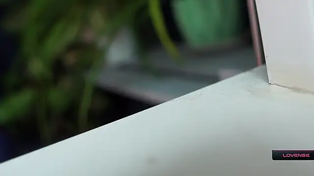  Phantom thread  online show from 12, 3, 2026