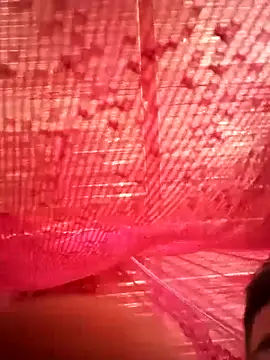 tekashiloco online show from 13, 9, 2025